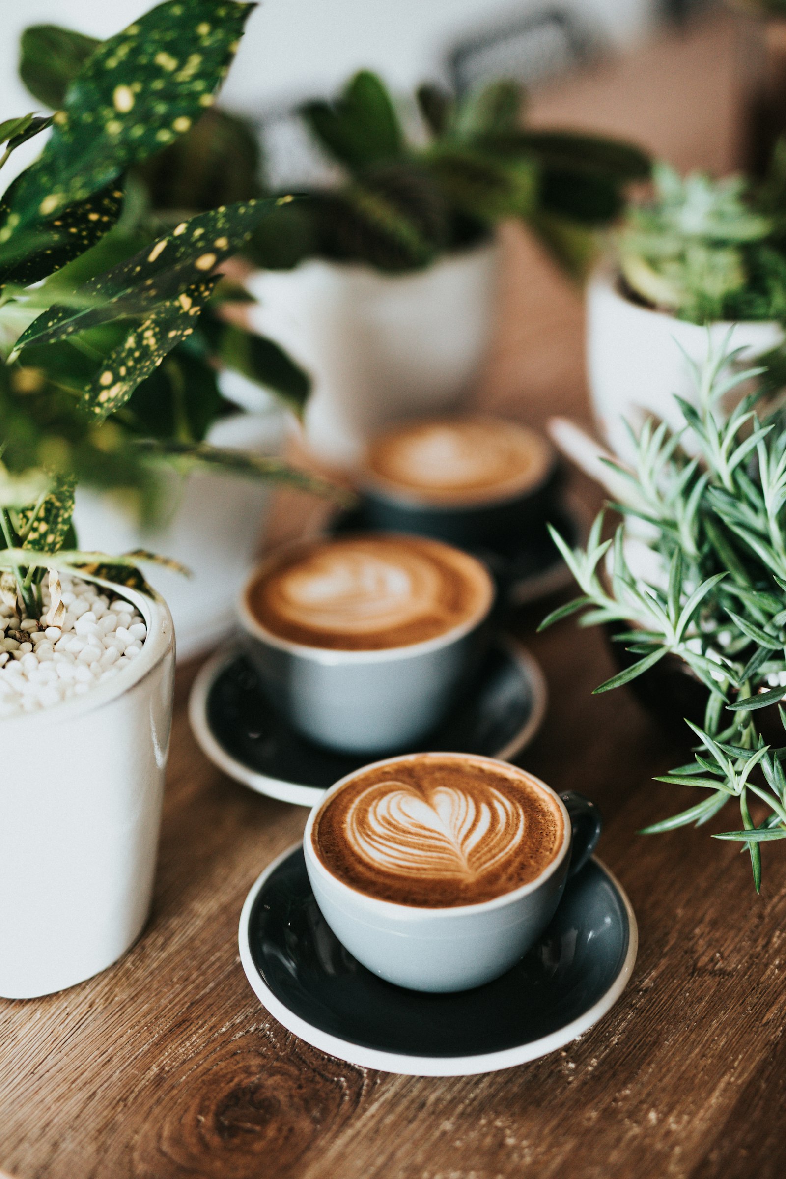 Coffee moment with plants
